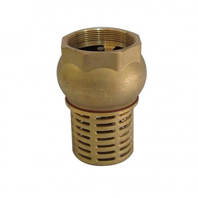 V&aacute;lvula pie bronce